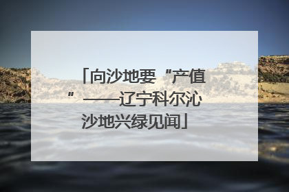 向沙地要“产值”——辽宁科尔沁沙地兴绿见闻
