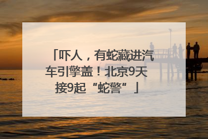 吓人，有蛇藏进汽车引擎盖！北京9天接9起“蛇警”