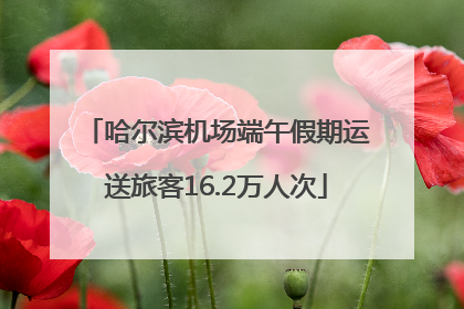 哈尔滨机场端午假期运送旅客16.2万人次