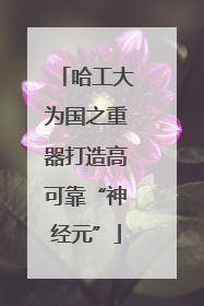 哈工大为国之重器打造高可靠“神经元”