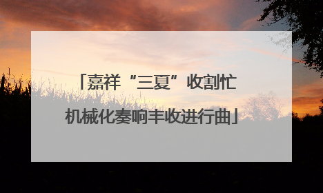 嘉祥“三夏”收割忙 机械化奏响丰收进行曲