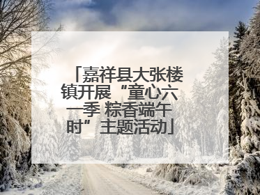 嘉祥县大张楼镇开展“童心六一季 粽香端午时”主题活动