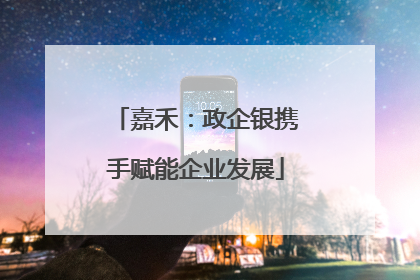 嘉禾：政企银携手赋能企业发展