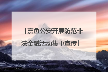 嘉鱼公安开展防范非法金融活动集中宣传
