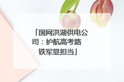 国网洪湖供电公司：护航高考路 铁军显担当