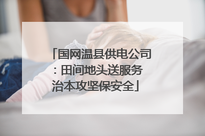 国网温县供电公司：田间地头送服务 治本攻坚保安全