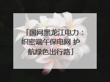 国网黑龙江电力：织密端午保电网 护航绿色出行路