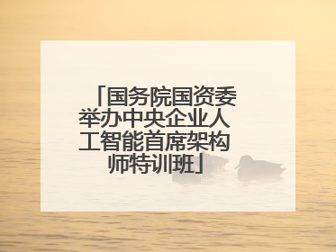 国务院国资委举办中央企业人工智能首席架构师特训班