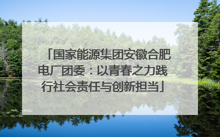 国家能源集团安徽合肥电厂团委：以青春之力践行社会责任与创新担当