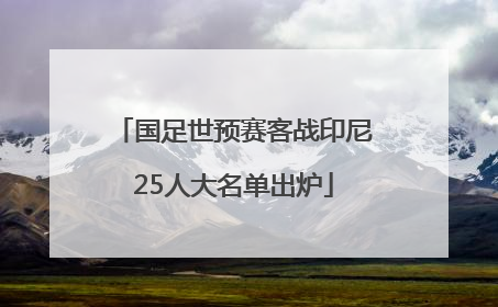 国足世预赛客战印尼25人大名单出炉