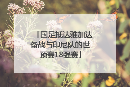 国足抵达雅加达备战与印尼队的世预赛18强赛
