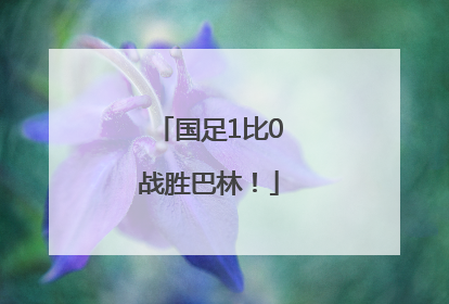 国足1比0战胜巴林！