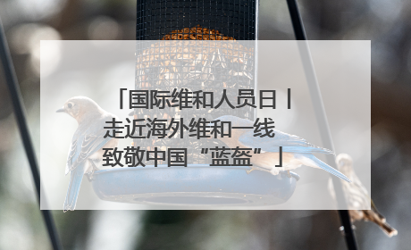 国际维和人员日丨走近海外维和一线 致敬中国“蓝盔”