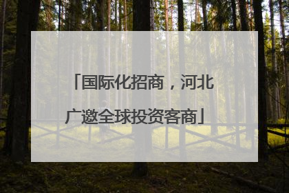 国际化招商，河北广邀全球投资客商