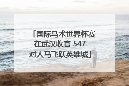国际马术世界杯赛在武汉收官 547对人马飞跃英雄城