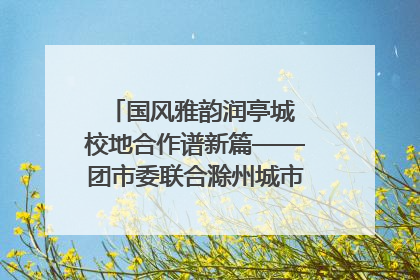 国风雅韵润亭城 校地合作谱新篇——团市委联合滁州城市职业学院助力传统文化“破圈”绽放
