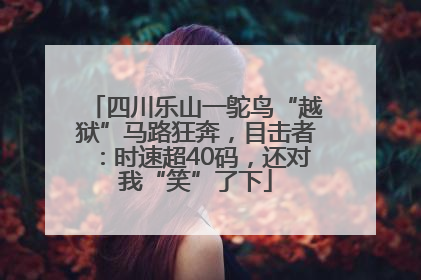 四川乐山一鸵鸟“越狱”马路狂奔，目击者：时速超40码，还对我“笑”了下