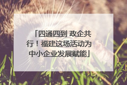 四通四到 政企共行！福建这场活动为中小企业发展赋能