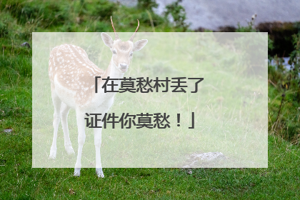 在莫愁村丢了证件你莫愁！
