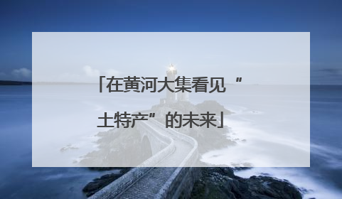 在黄河大集看见“土特产”的未来