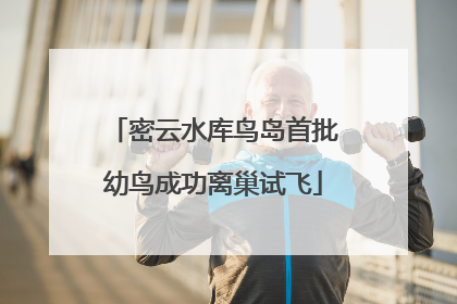 密云水库鸟岛首批幼鸟成功离巢试飞