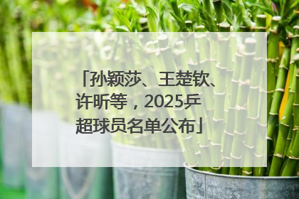 孙颖莎、王楚钦、许昕等，2025乒超球员名单公布
