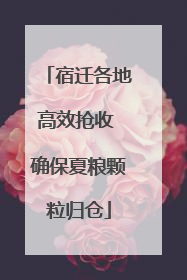宿迁各地高效抢收 确保夏粮颗粒归仓