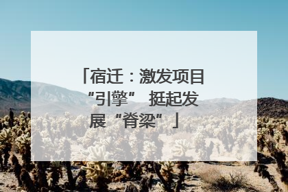 宿迁：激发项目“引擎” 挺起发展“脊梁”