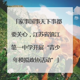 家事国事天下事都要关心，江苏省镇江第一中学开展“青少年模拟政协活动”
