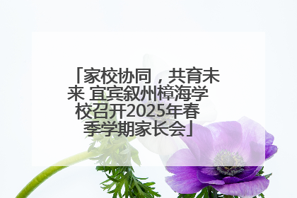 家校协同，共育未来 宜宾叙州樟海学校召开2025年春季学期家长会