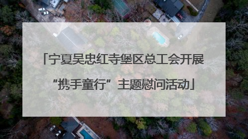 宁夏吴忠红寺堡区总工会开展“携手童行”主题慰问活动
