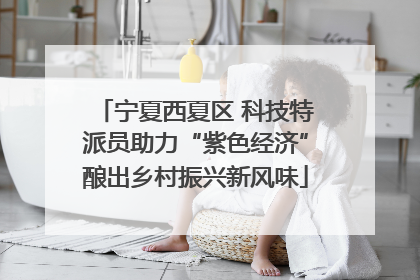 宁夏西夏区 科技特派员助力“紫色经济”酿出乡村振兴新风味