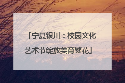 宁夏银川：校园文化艺术节绽放美育繁花