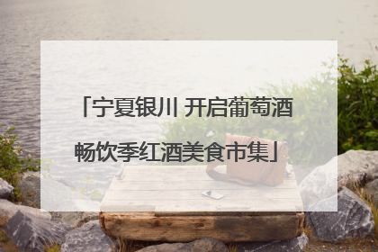 宁夏银川 开启葡萄酒畅饮季红酒美食市集