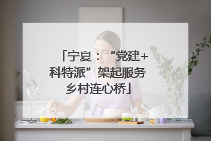 宁夏：“党建+科特派”架起服务乡村连心桥
