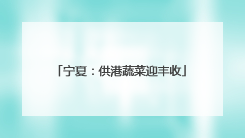 宁夏：供港蔬菜迎丰收