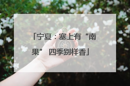 宁夏：塞上有“南果” 四季别样香