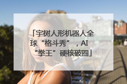 宇树人形机器人全球“格斗秀”，AI“拳王”硬核破圈
