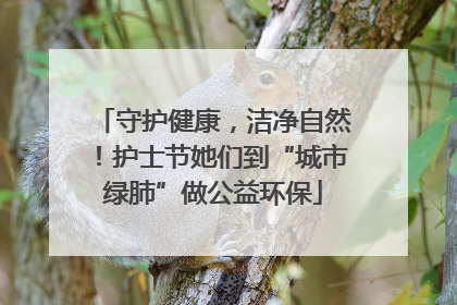 守护健康，洁净自然！护士节她们到“城市绿肺”做公益环保