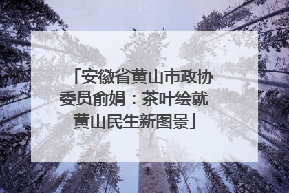 安徽省黄山市政协委员俞娟：茶叶绘就黄山民生新图景