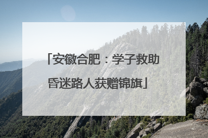 安徽合肥：学子救助昏迷路人获赠锦旗