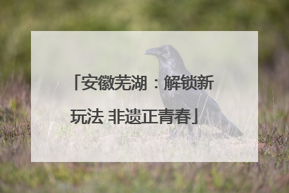 安徽芜湖：解锁新玩法 非遗正青春