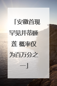 安徽首现罕见并蒂睡莲 概率仅为百万分之一