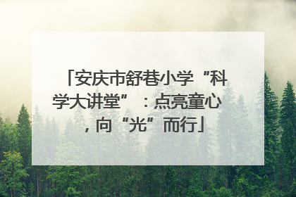 安庆市舒巷小学“科学大讲堂”：点亮童心，向“光”而行