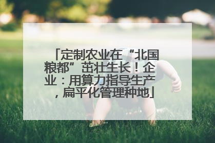 定制农业在“北国粮都”茁壮生长！企业：用算力指导生产，扁平化管理种地