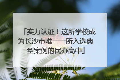 实力认证！这所学校成为长沙市唯一一所入选典型案例的民办高中