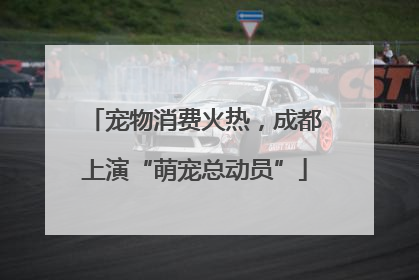 宠物消费火热，成都上演“萌宠总动员”