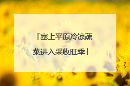 塞上平原冷凉蔬菜进入采收旺季