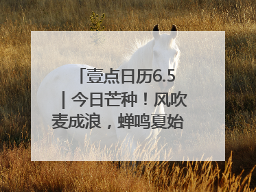 壹点日历6.5｜今日芒种！风吹麦成浪，蝉鸣夏始忙！大家早安