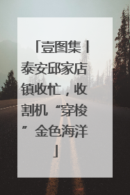 壹图集丨泰安邱家店镇收忙，收割机“穿梭”金色海洋